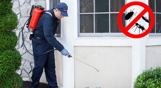 Hayrabolu Tahtakurusu İlaçlama böcek ilaçlama ve haşere kontrolü — ilaclama-tr.com